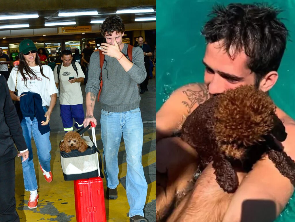 Shawn Mendes carrega cadelinha que Bruna Marquezine adotou com João Guilherme